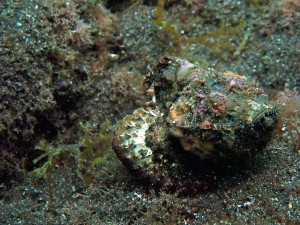 P6140010