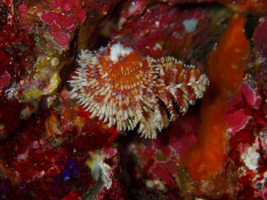 P6140024
