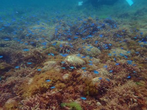 P6140055