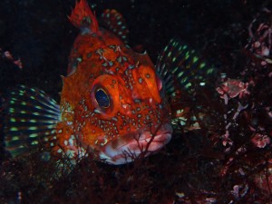 P6140134