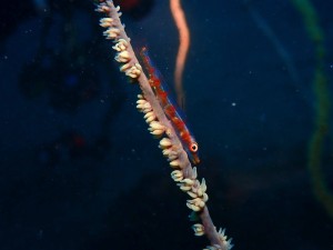 P6140170