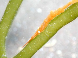 P6150080
