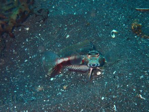 P6150251