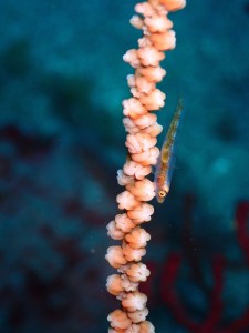 P6180087