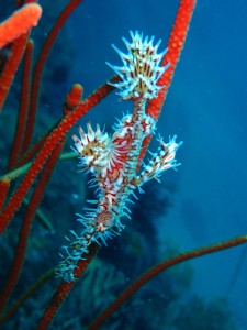 P6180124
