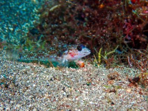 P6190030