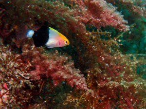 P6190070