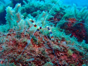 P6190082