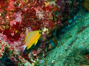 P6190126