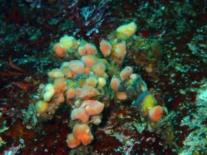 P6200068