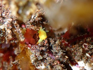 P6240033