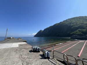 S__309837828_0