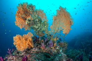 DSC05800