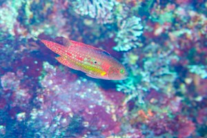 DSC07765