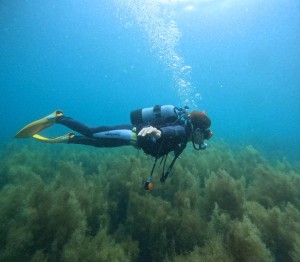 DCIM100GOPROGOPR0817.JPG