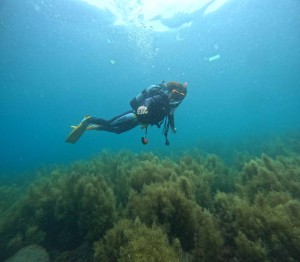 DCIM100GOPROGOPR0821.JPG