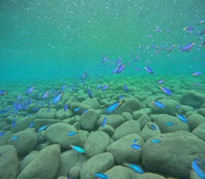 DCIM100GOPROGOPR0823.JPG