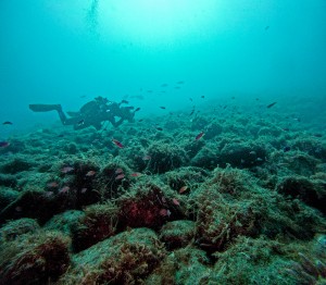 GOPR0835