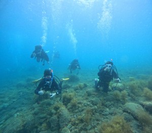 DCIM100GOPROGOPR0908.JPG
