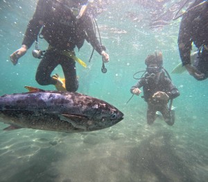 DCIM100GOPROGOPR0944.JPG