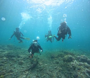 DCIM100GOPROGOPR0952.JPG