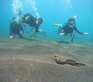 DCIM100GOPROGOPR0961.JPG