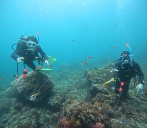 DCIM100GOPROGOPR0975.JPG