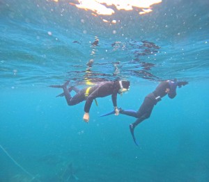 DCIM100GOPROGOPR1016.JPG