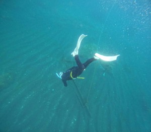DCIM100GOPROGOPR1023.JPG