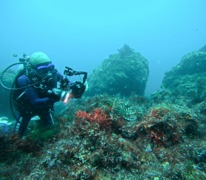 GOPR1128