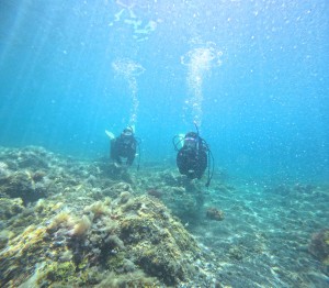 DCIM100GOPROGOPR1254.JPG