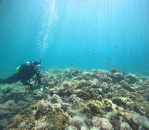 DCIM100GOPROGOPR1256.JPG
