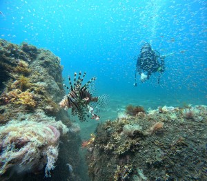 DCIM100GOPROGOPR1262.JPG