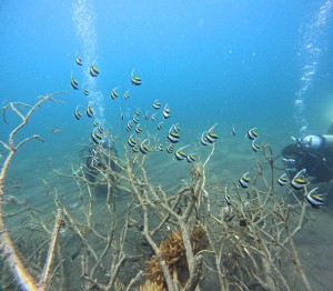 DCIM100GOPROGOPR1266.JPG
