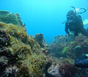 DCIM100GOPROGOPR1273.JPG
