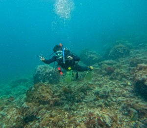 GOPR1362