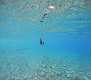 DCIM100GOPROGOPR1432.JPG
