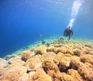 DCIM100GOPROGOPR1435.JPG