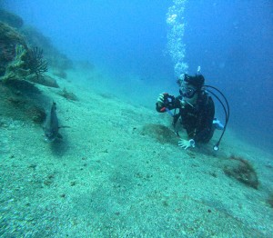 DCIM100GOPROGOPR1453.JPG