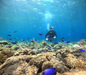 DCIM100GOPROGOPR1463.JPG