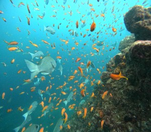 DCIM100GOPROGOPR1500.JPG