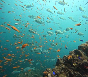 DCIM100GOPROGOPR1505.JPG