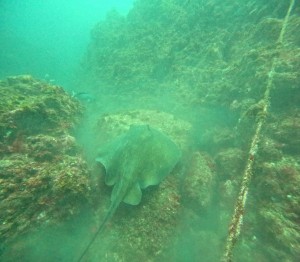 DCIM100GOPROGOPR1528.JPG