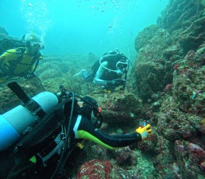 DCIM100GOPROGOPR1532.JPG