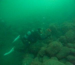 GOPR1586