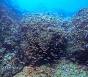 GOPR1634