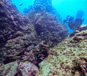 GOPR1636