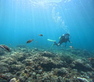 DCIM100GOPROGOPR1676.JPG