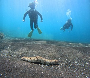 DCIM100GOPROGOPR1679.JPG