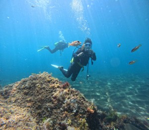 DCIM100GOPROGOPR1688.JPG